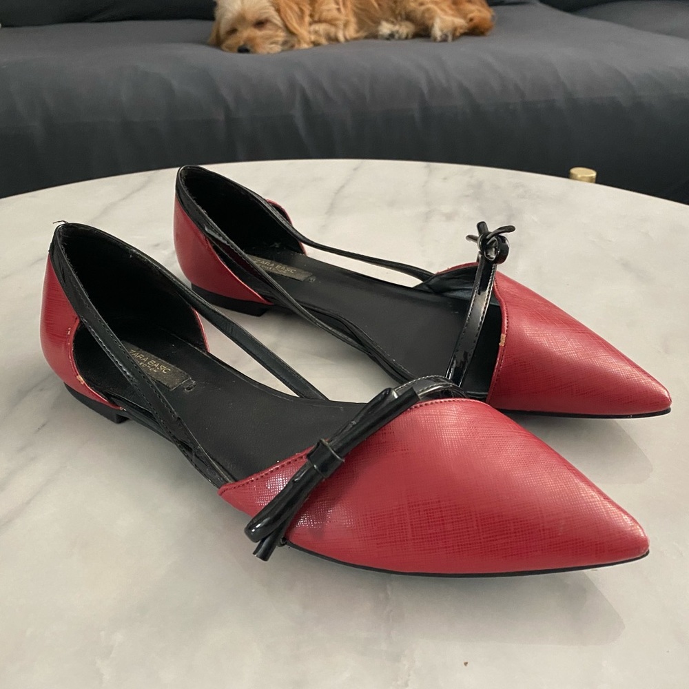 Zara Pointed Toe Flat